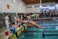 Mistrzostwa Kielc Szkół Ponadpodstawowych w pływaniu 22 marca. Czekamy na zgłoszenia