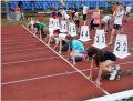 Finał Czwartków Lekkoatletycznych Łódź 17-19.06.2016r. - Harmonogram zawodów