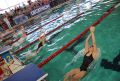 Wysoka frekwencja na Ogólnopolskich Zawodach Pływackich o Puchar Dyrektora MOSiR w Kielcach