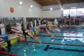 Zapraszamy do udziału w Ogólnopolskich Zawodach Pływackich o Puchar Dyrektora MOSiR