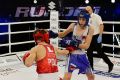 Historyczna gala Suzuki Boxing Promotion odbyła się w Hali Widowiskowo-Sportowej